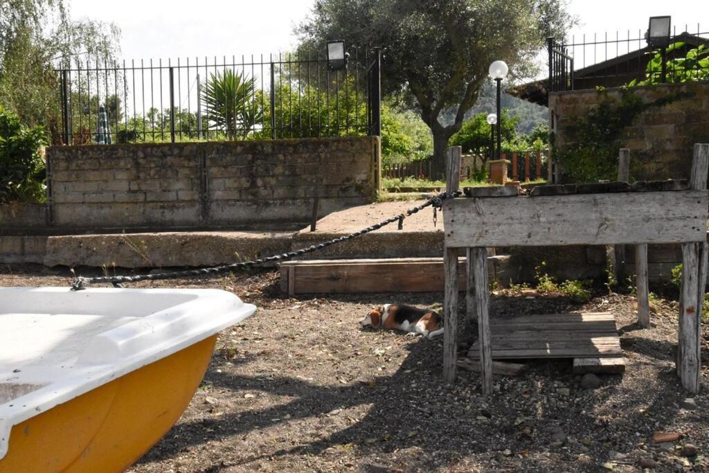 Independent Villa With Private Beach On The Lake Bracciano  Zewnętrze zdjęcie