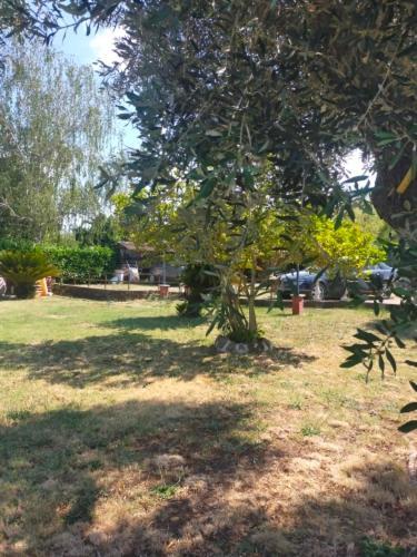 Independent Villa With Private Beach On The Lake Bracciano  Zewnętrze zdjęcie