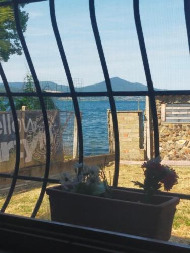 Independent Villa With Private Beach On The Lake Bracciano  Zewnętrze zdjęcie