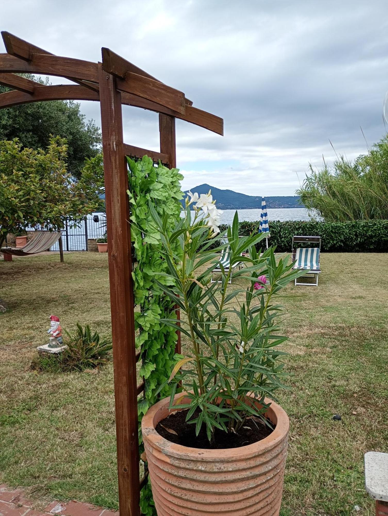 Independent Villa With Private Beach On The Lake Bracciano  Zewnętrze zdjęcie